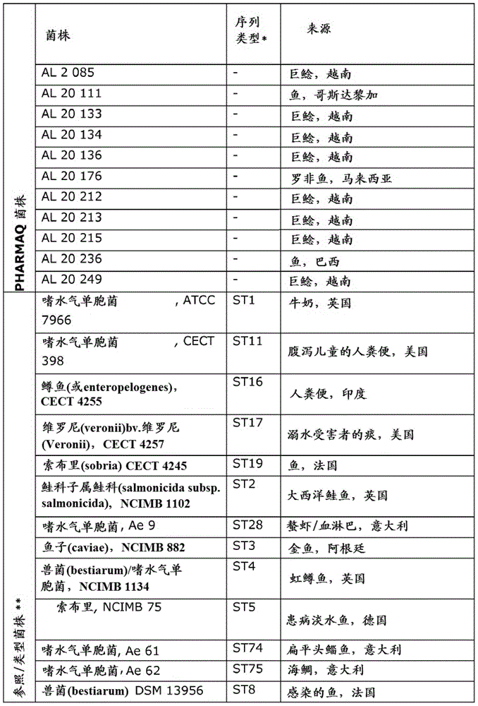 Immunogenic composition against aeromonas hydrophila