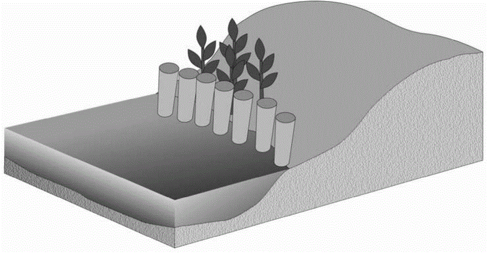 Algal blooming ecological control system based on micro-terrain reconstruction, ecological method for controlling algal blooming and application