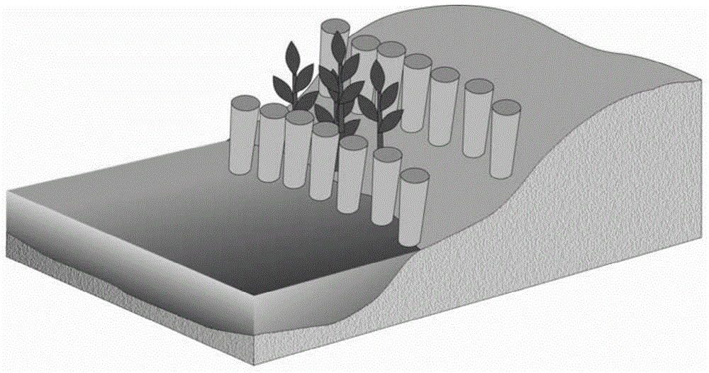 Algal blooming ecological control system based on micro-terrain reconstruction, ecological method for controlling algal blooming and application