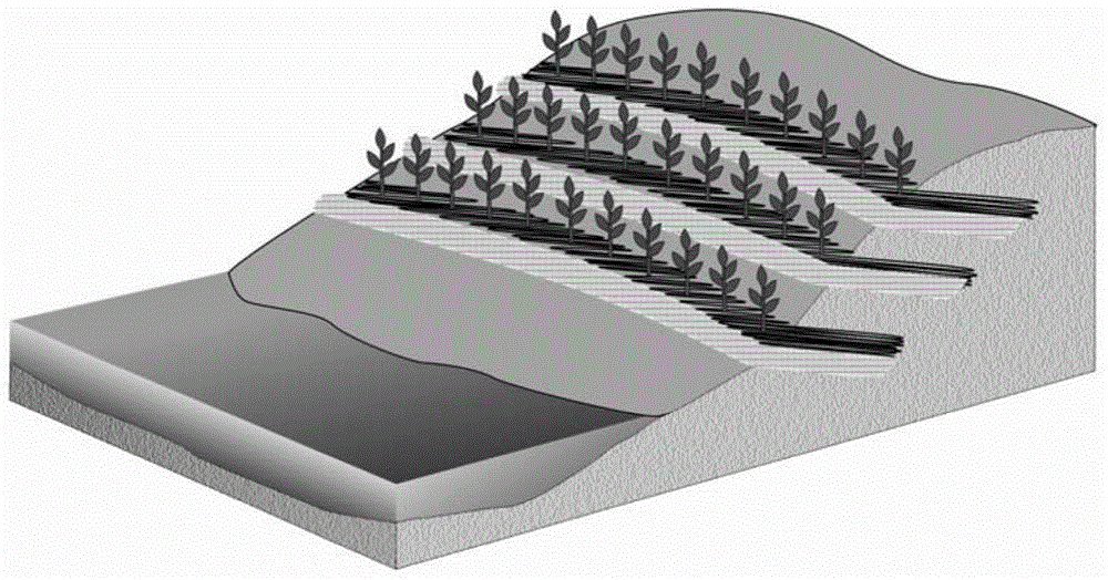 Algal blooming ecological control system based on micro-terrain reconstruction, ecological method for controlling algal blooming and application