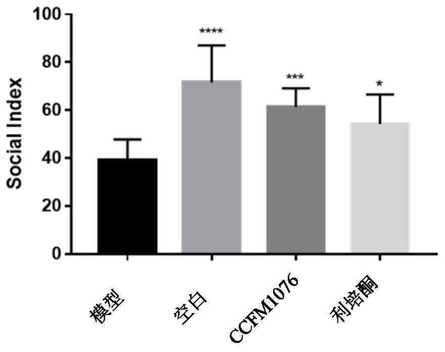 Lactobacillus helveticus and the application of Lactobacillus helveticus