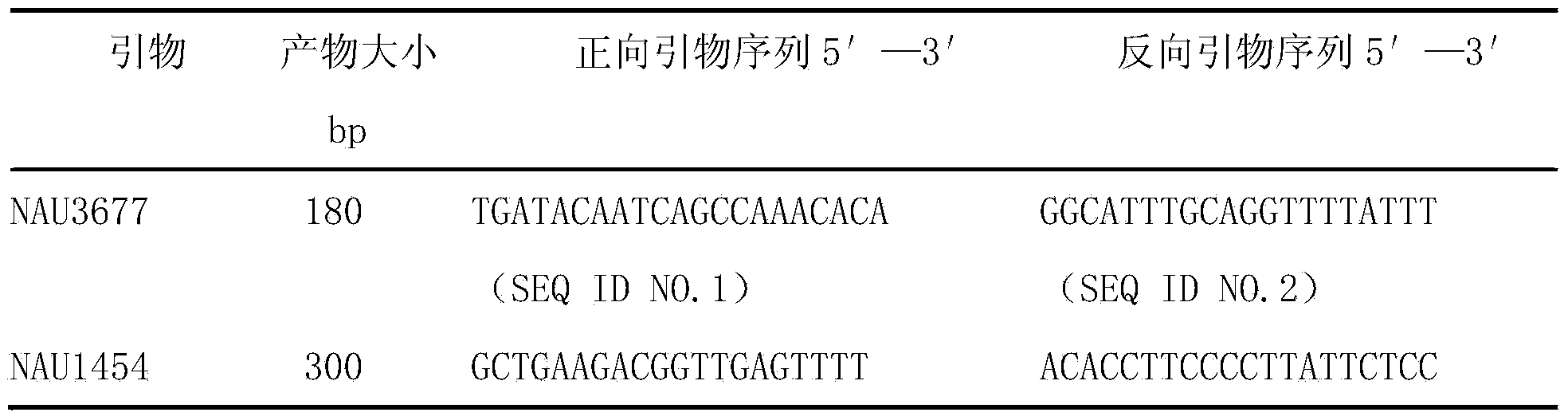 Molecular breeding method for synchronously improving length, strength, and fineness of cotton fiber through polymerizing chromosome segment introgression lines