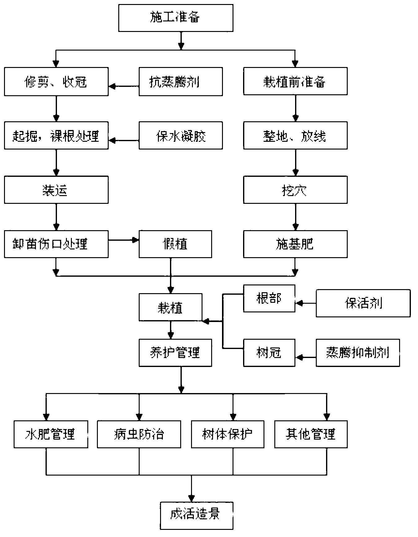 Method for keeping alive bare-root transplanted zelkova serrata