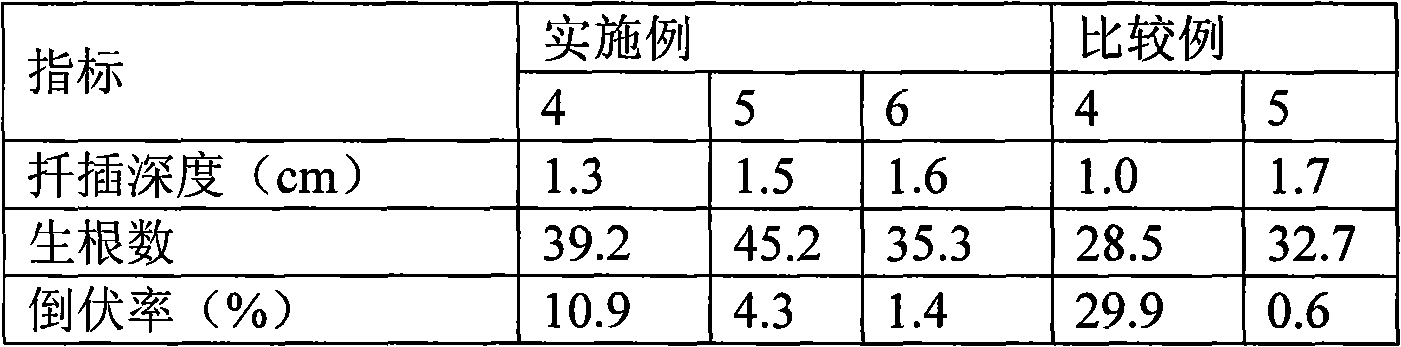 Chrysanthemum plug seedling medium and method for chrysanthemum plug seedling by employing same