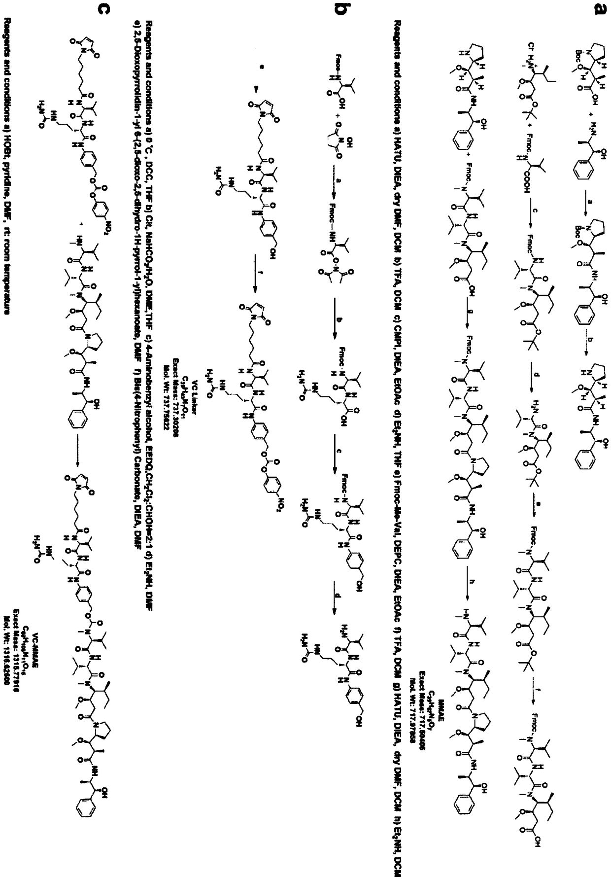 An antibody-coupled drug targeting on EGFR, a preparation method thereof, and uses thereof