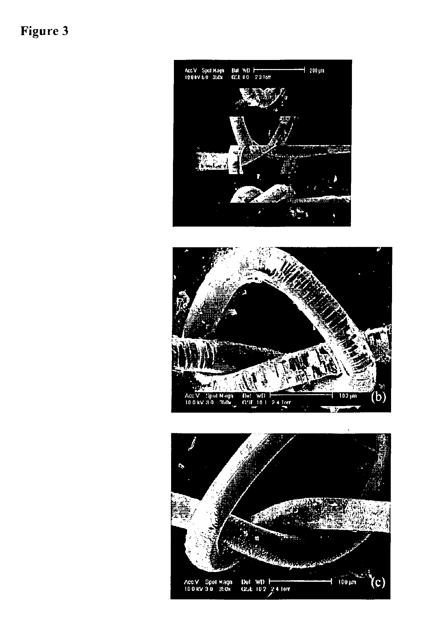 Fluorocarbon-organosilicon copolymers and coatings prepared by hot-filament chemical vapor deposition