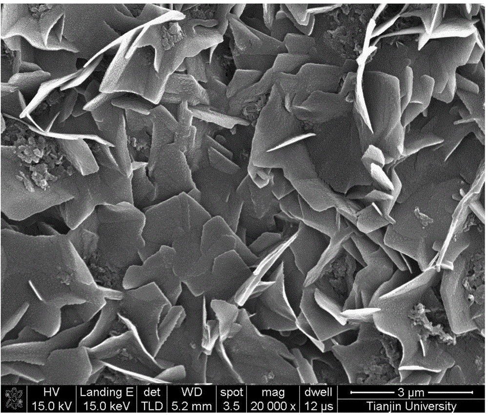 Preparation of polyvinylamine/polyaniline mixed matrix membranes used for separation of gas containing carbon dioxide