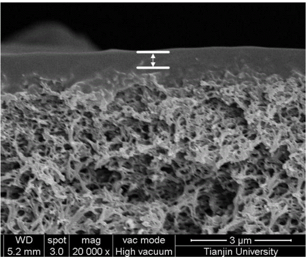 Preparation of polyvinylamine/polyaniline mixed matrix membranes used for separation of gas containing carbon dioxide