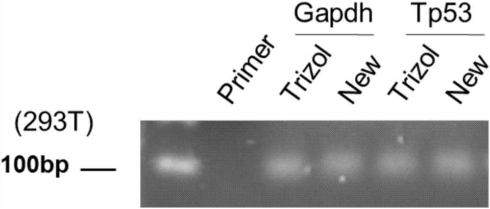 Reverse transcription method, reverse transcription kit and application thereof