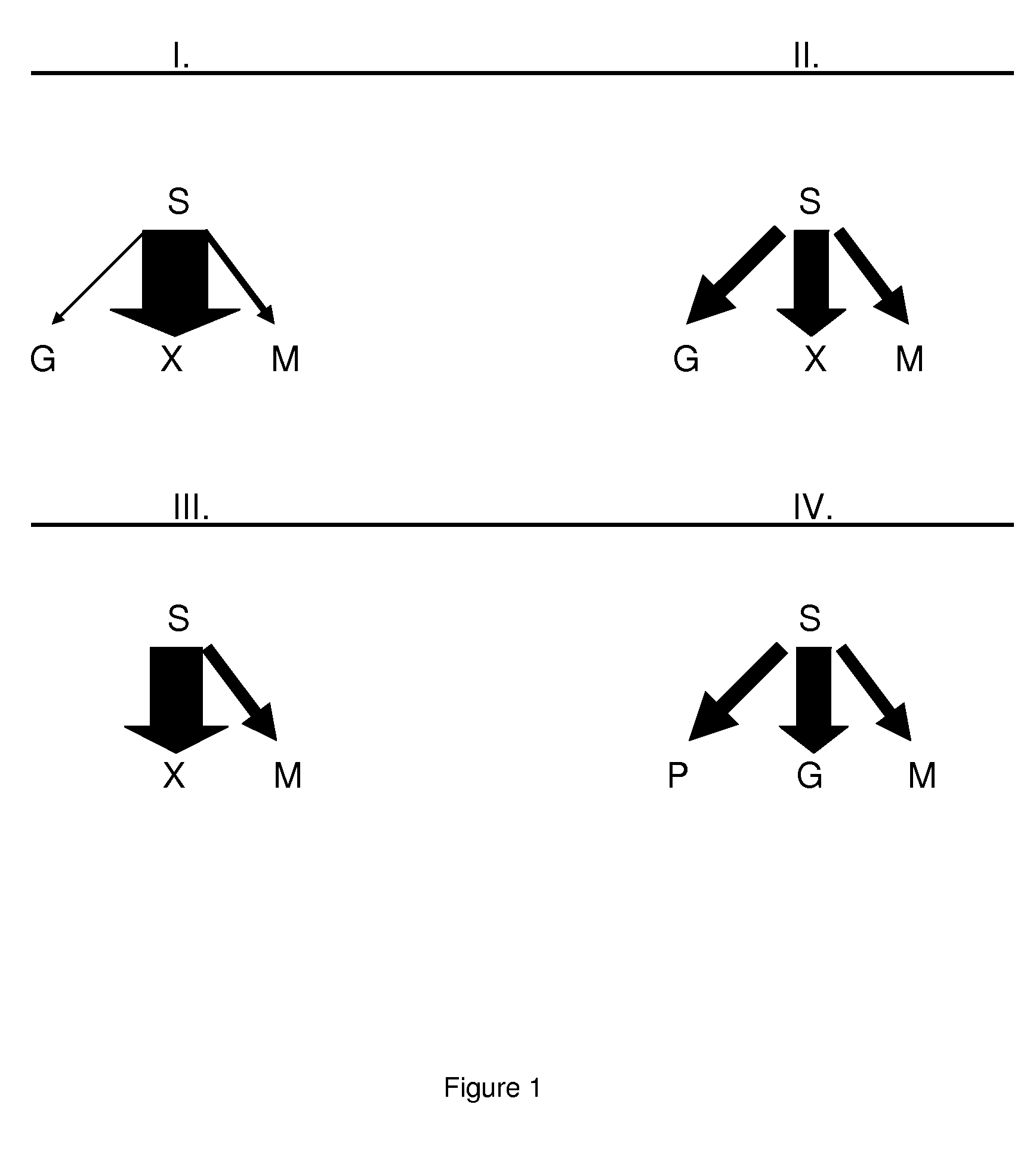 Fermentation of pravastatin