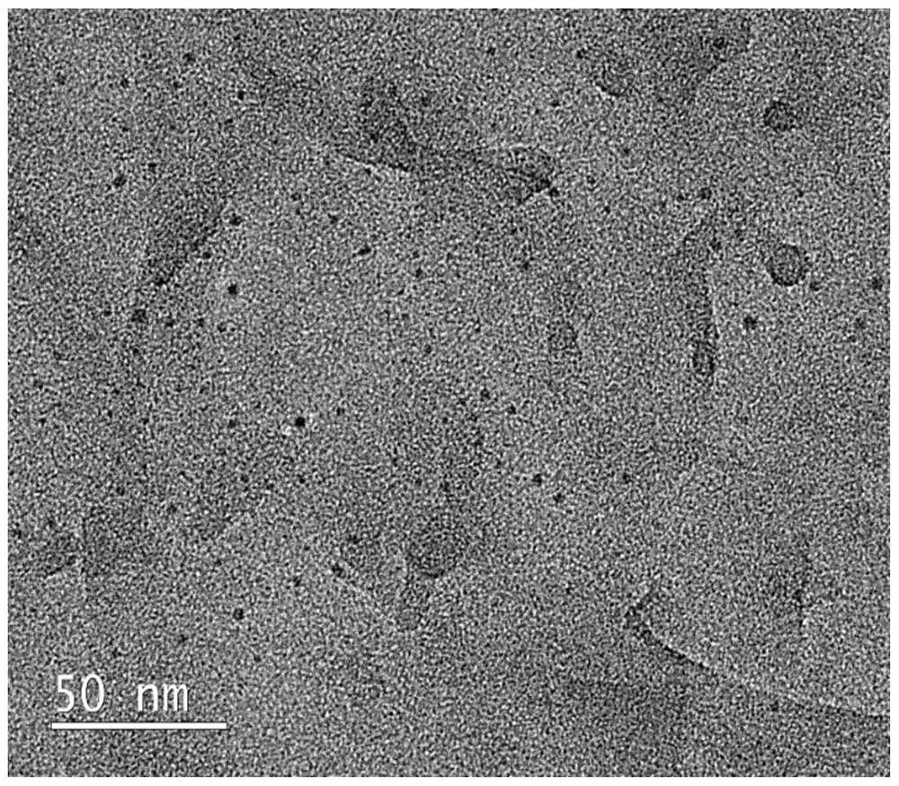 Nitrogen point-based room-temperature phosphorescent material and preparation method and application thereof