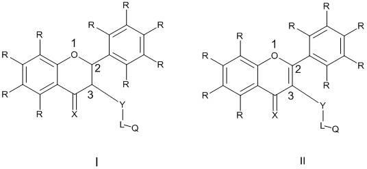 Chroman and chromene derivatives as tumor multidrug resistance inhibitor as well as preparation method and application of chroman and chromene derivatives