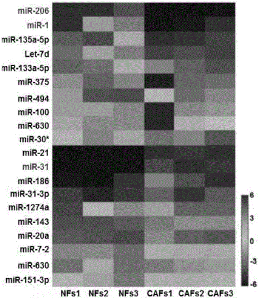 Application of miRNA (micro-ribonucleic acid) composition to preparing non-small cell lung cancer resisting medicines