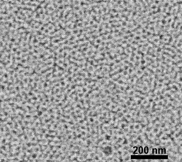 Fabrication method of gas sensor based on Pt-doped SNO2 ordered mesoporous film