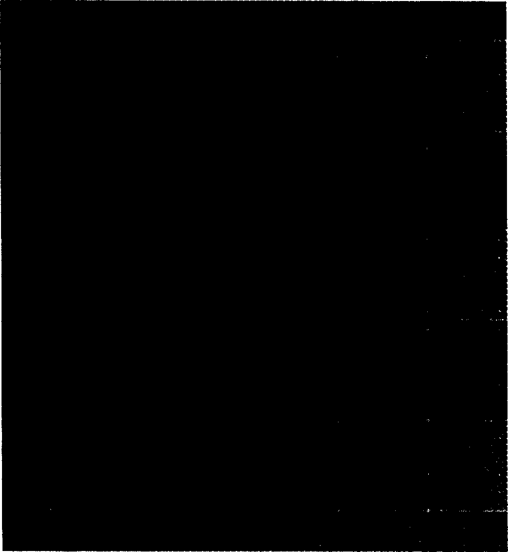 Method for extracting interconnection parasitic capacitance capable of automatically adapting process characteristic size