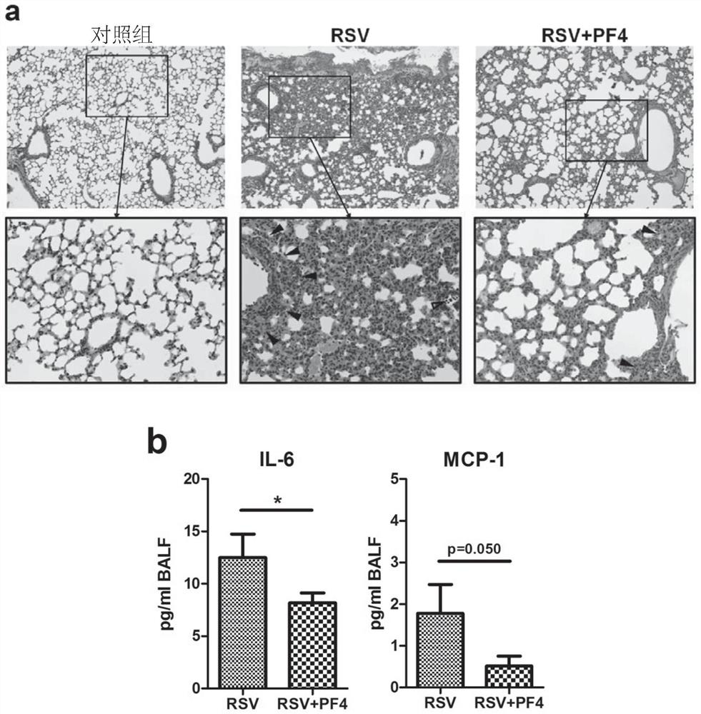 Anti-RSV application of pf4