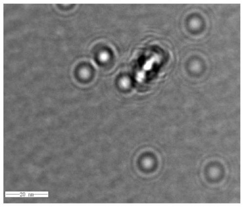 gd:fe  <sub>3</sub> o  <sub>4</sub> A method of @ra nanoparticles inducing neural stem cells to differentiate into neurons