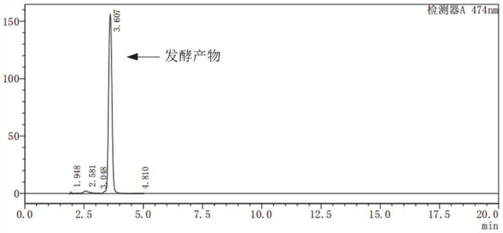 Recombinant lactococcus lactis used for generating lycopene, and application of recombinant lactococcus lactis