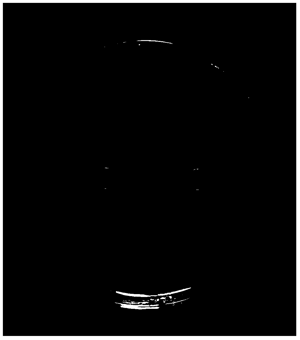 Strain capable of controlling ulcer disease of actinidia and preparation method thereof