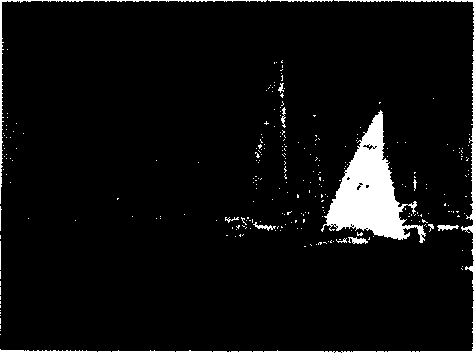 Color image matching analytical method based on color content and distribution