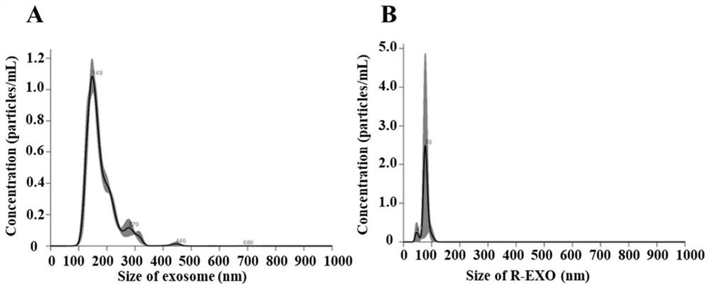 Homologous recombination exosome multi-drug delivery bionic nanoparticles as well as preparation method and application thereof