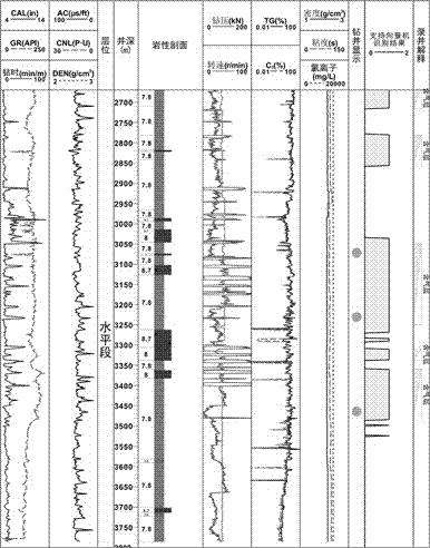 Shale Gas Reservoir Identification Method Based on Support Vector Machine