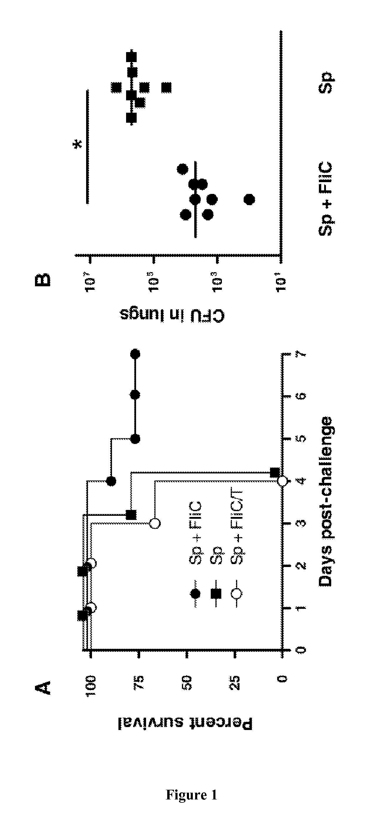 Methods and pharmaceutical compositions for the treatment of respiratory tract infections