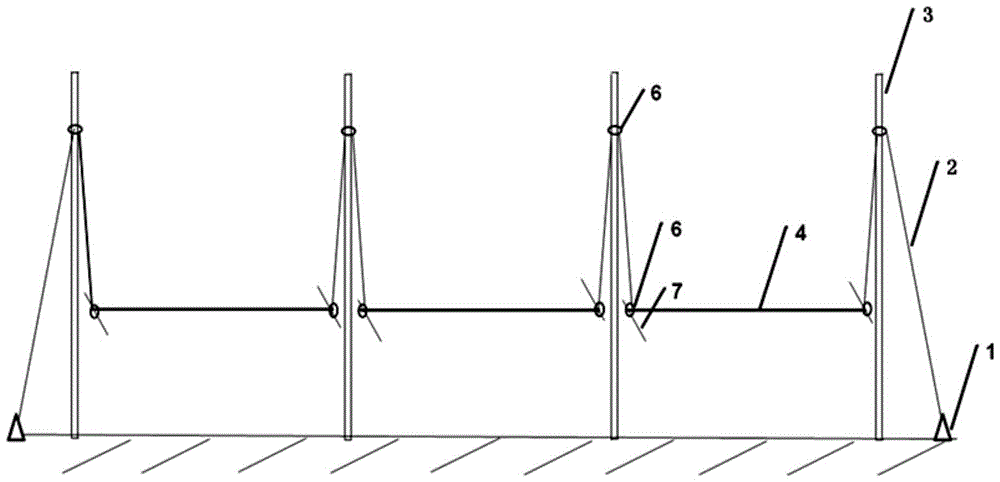 Inserted-bar type synchronous dry-out method for porphyra haitanensis