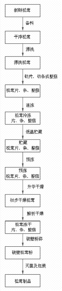 Tricholoma matsutake dried product with nutrients and flavor fully preserved, and preparation method thereof