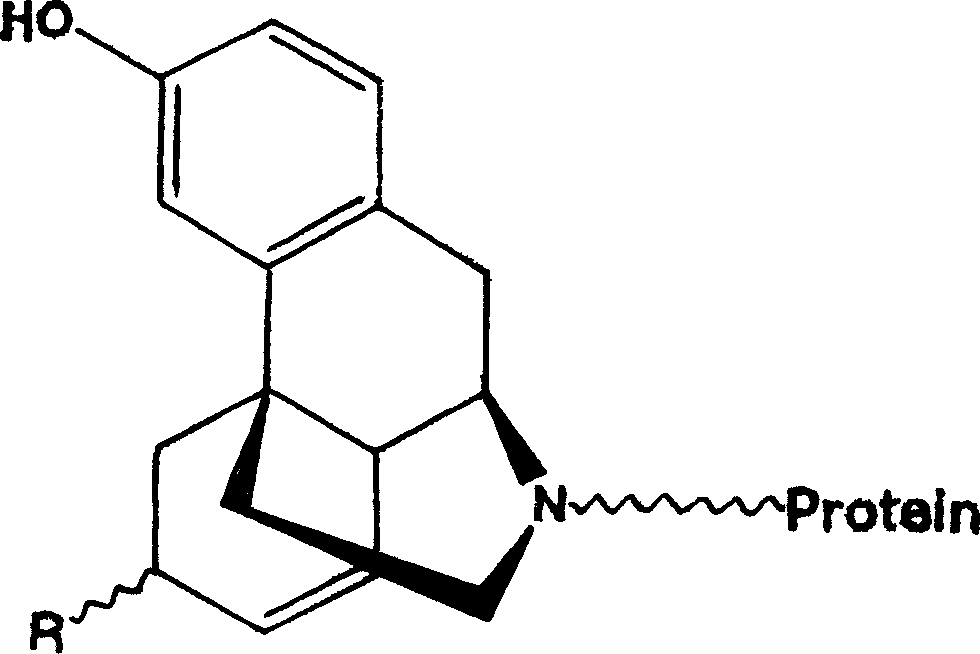 Diacetyl morphine quick-speed testing apparatus