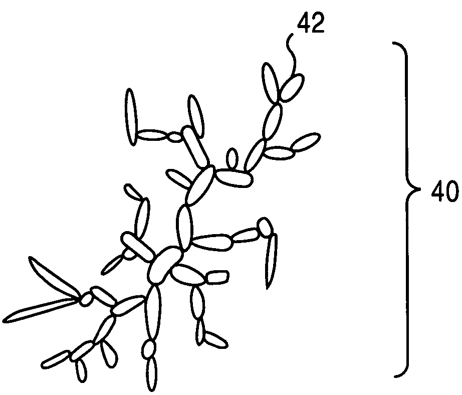 Seeding of HTC fillers to form dendritic structures