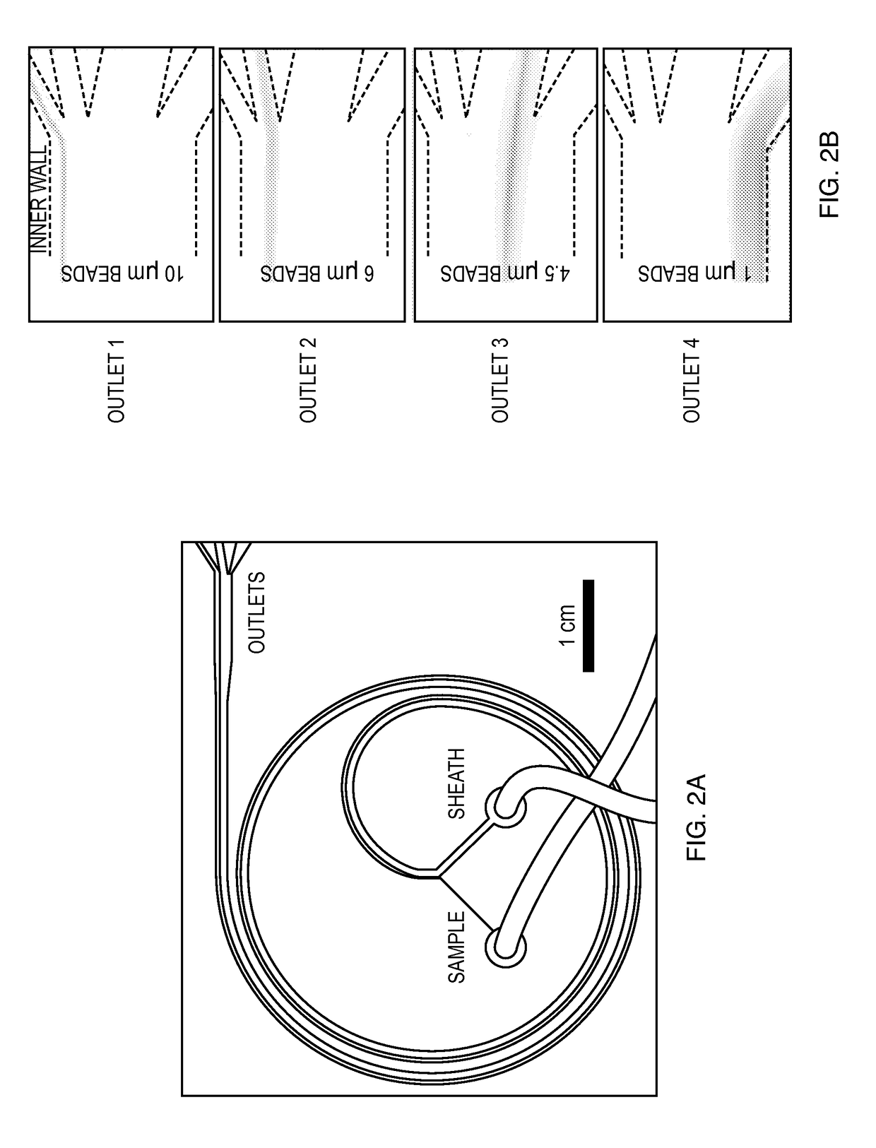 System and method for multiplexed affinity purification of proteins and cells