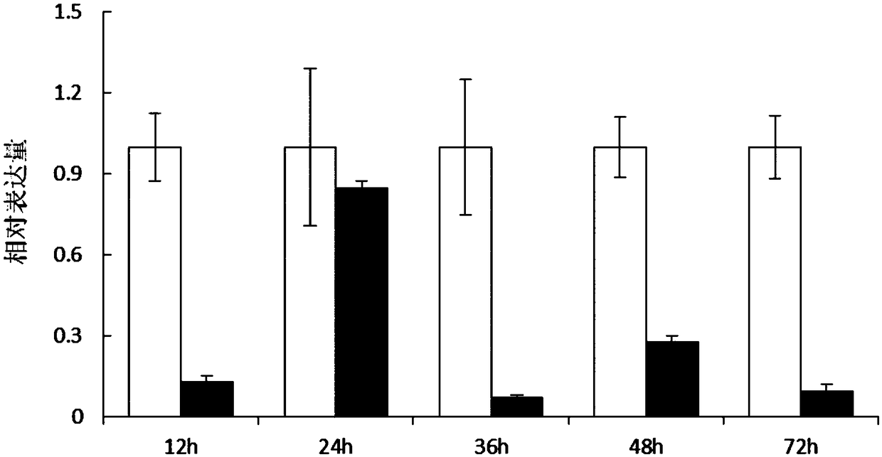 Lymantria dispar Linnaeus JHAMT gene, encoded protein thereof and application of dsRNA of Lymantria dispar Linnaeus JHAMT gene in pest control