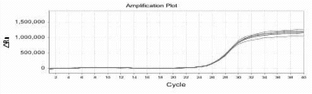 Method for detecting egg laying amount of insects by heat shock protein 90 gene