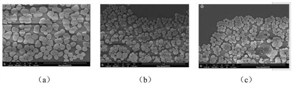 Metal polyphenol collagen membrane material as well as preparation method and application thereof