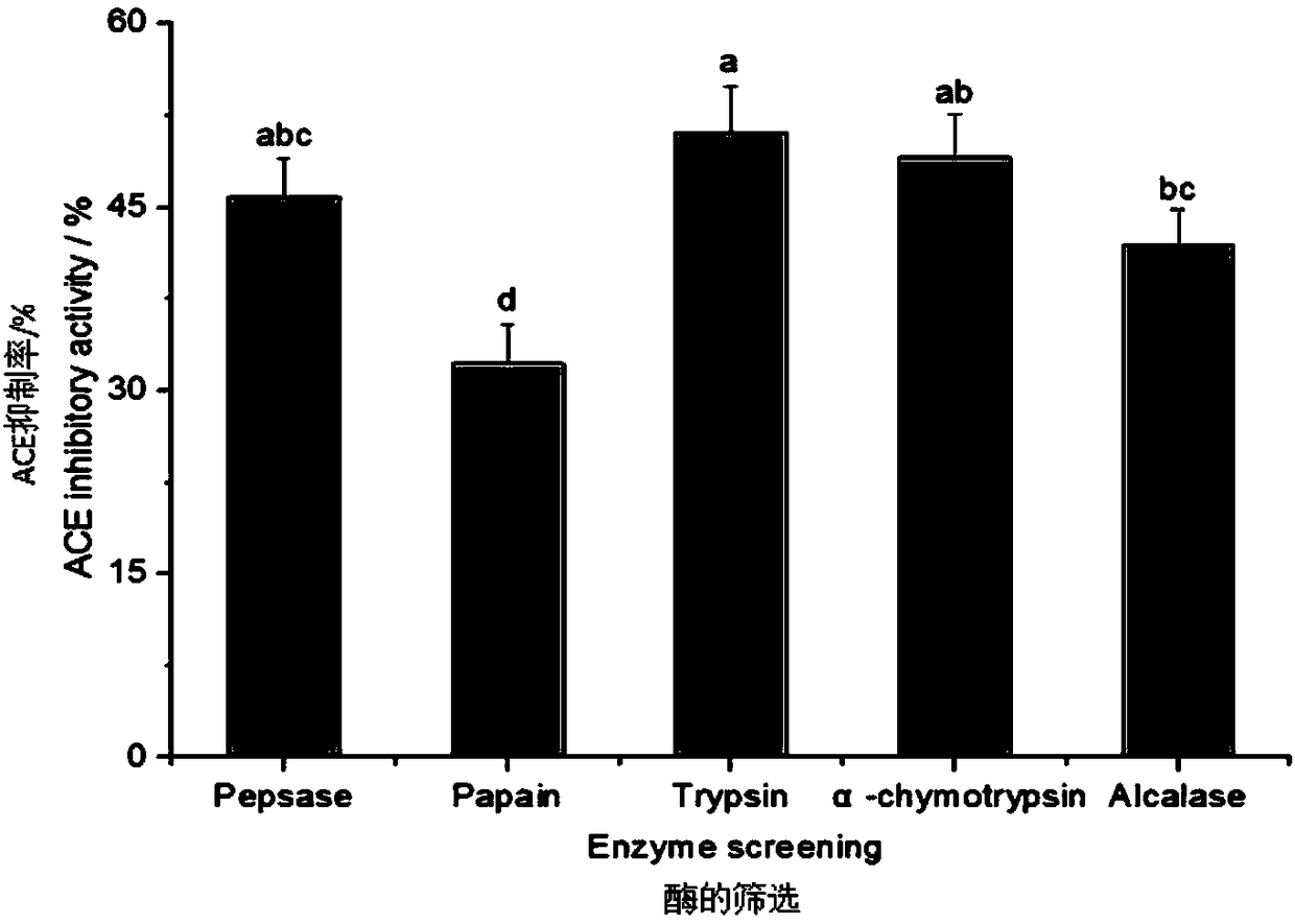 Enteromorpha-sourced angiotensin invertase inhibitory peptide and preparation method and application thereof