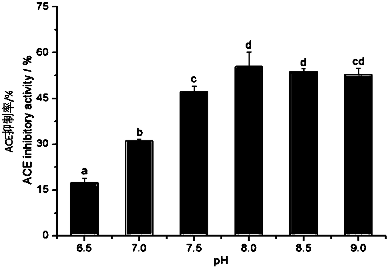 Enteromorpha-sourced angiotensin invertase inhibitory peptide and preparation method and application thereof