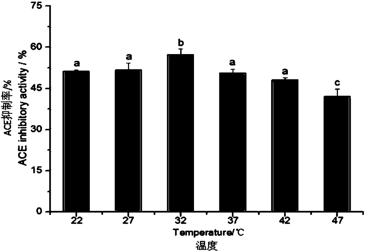 Enteromorpha-sourced angiotensin invertase inhibitory peptide and preparation method and application thereof