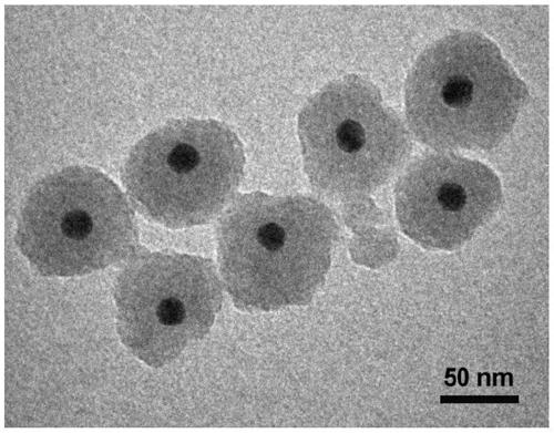 Delayed-lasing luminescent nano probe and preparation method thereof