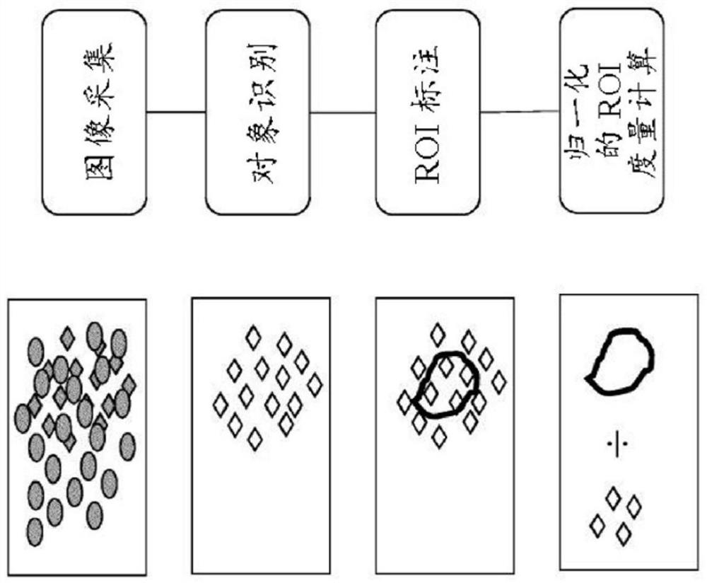 Methods and systems for evaluation of immune cell infiltrate in stage iv colorectal cancer