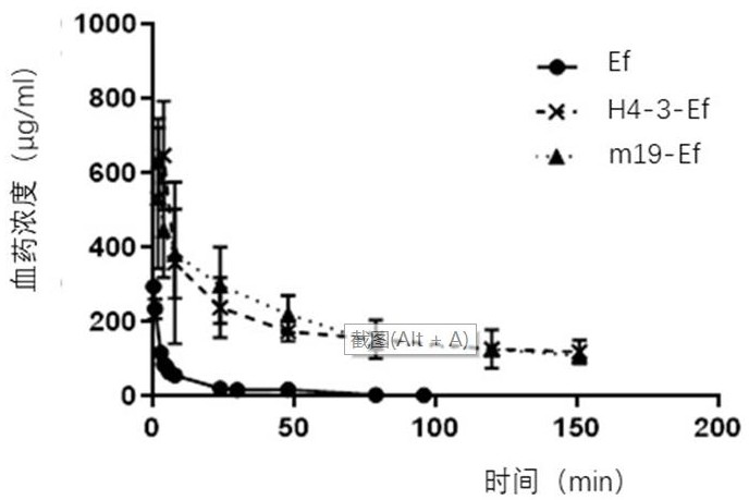 Sustained-release anti-FcRn antibody or antigen binding fragment and application thereof