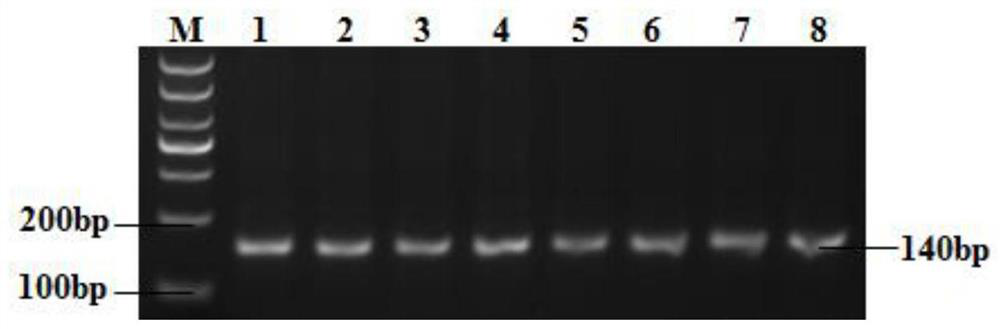 A Breeding Method of Multi-locus Aggregation Effect Analysis for Improving Lamb Size of Hu Sheep