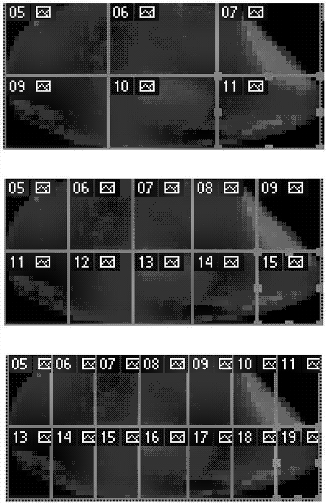 Method for detecting chalkiness of rice