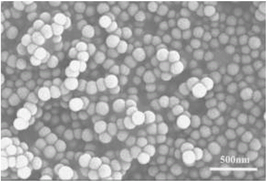 Preparation method of amorphous monodisperse nano silicon dioxide powder with controllable granularity