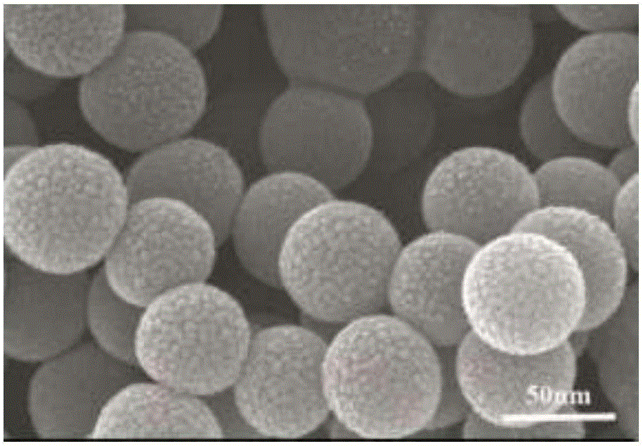 Preparation method of amorphous monodisperse nano silicon dioxide powder with controllable granularity