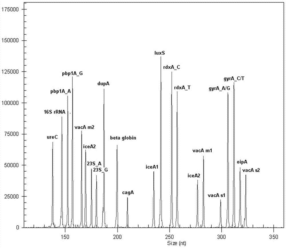 Multiple-gene helicobacter pylori detection system and kit and application thereof