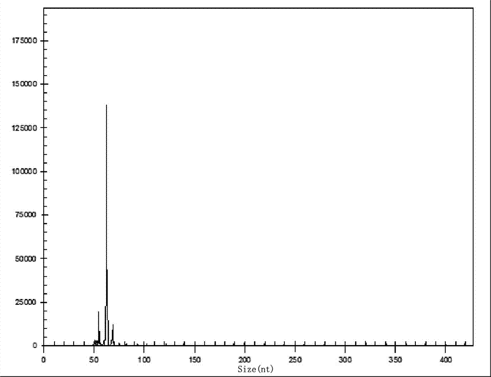 Multiple-gene helicobacter pylori detection system and kit and application thereof