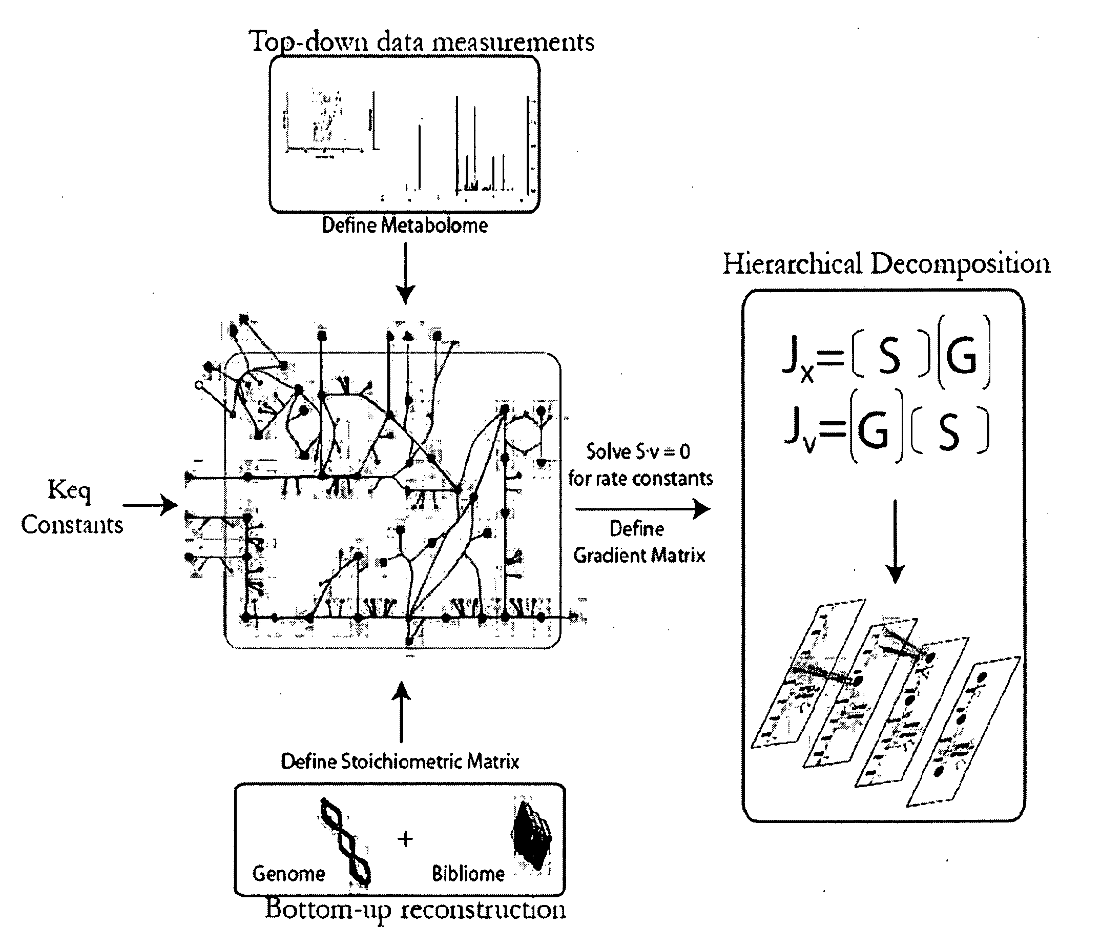 Methods and systems for genome-scale kinetic modeling