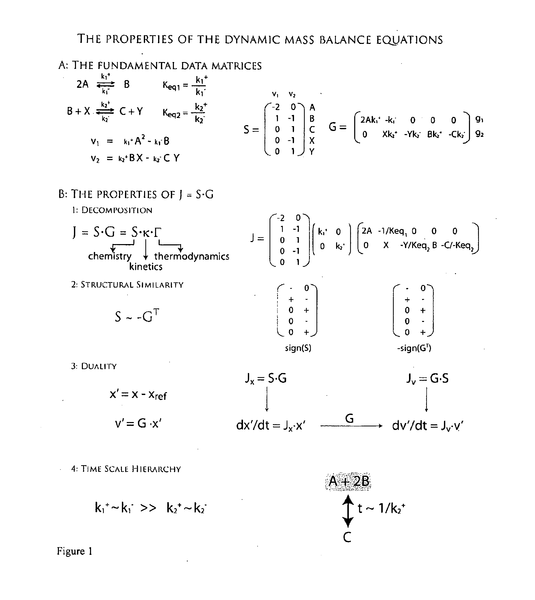 Methods and systems for genome-scale kinetic modeling