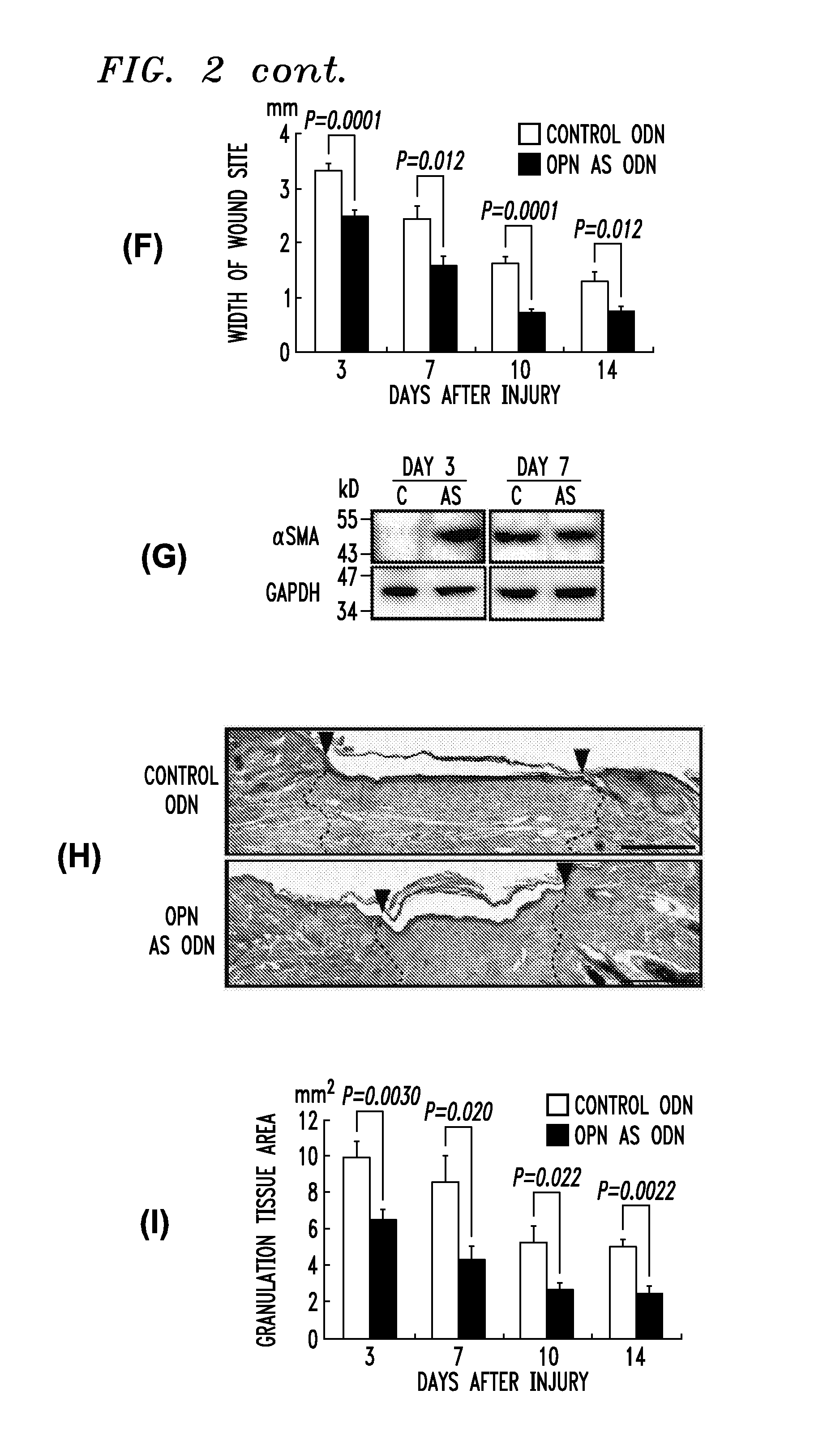 Wound healing compositions and treatments